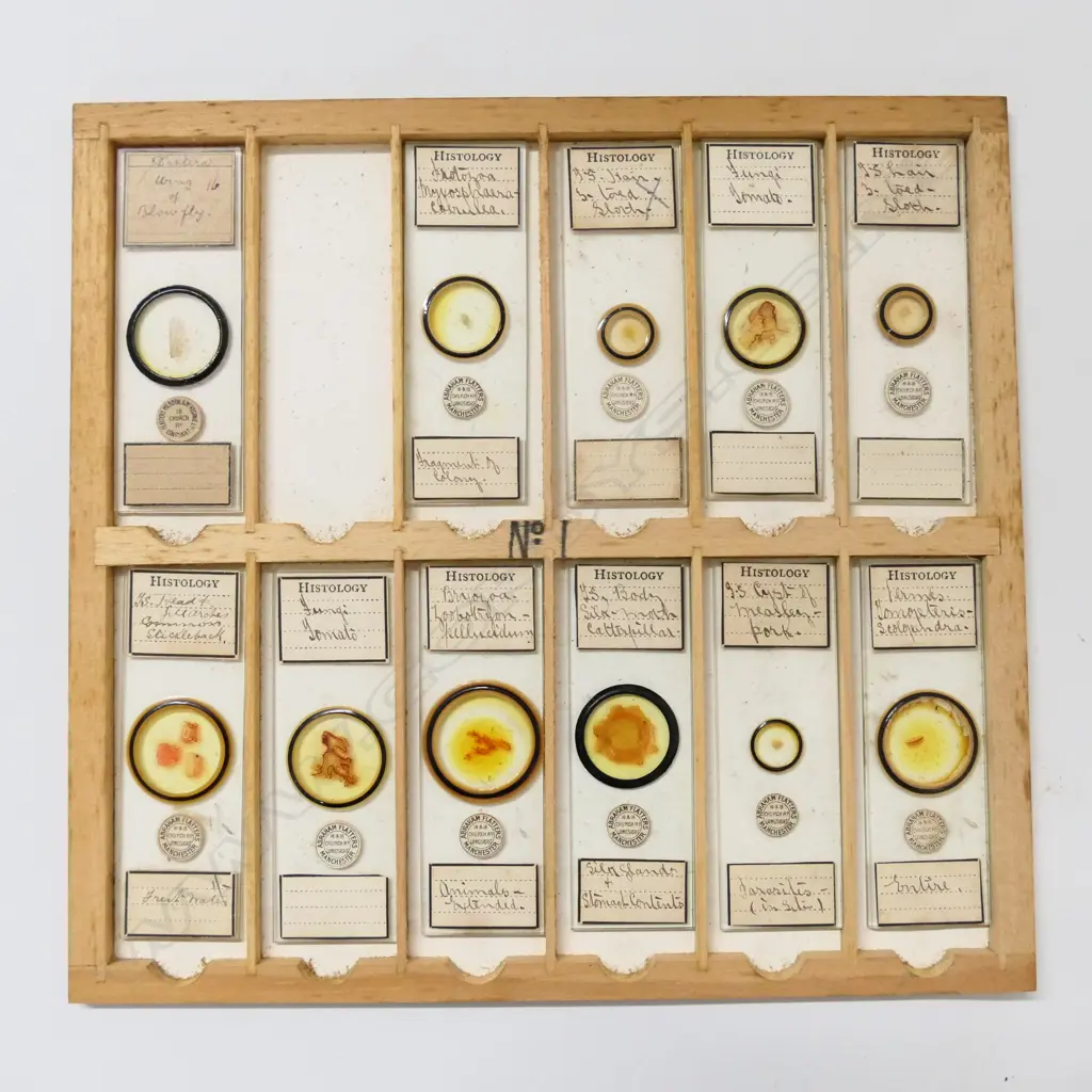 2 WOODEN BOXES OF MICROSCOPIC SLIDES Image 1++